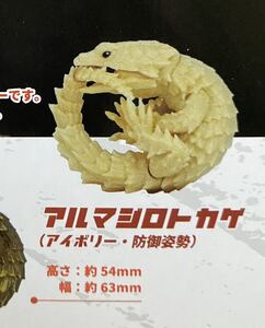ヤフオク アルマジロトカゲの中古品 新品 未使用品一覧 ヤフオク アルマジロトカゲの中古品 新品 未使用品一覧