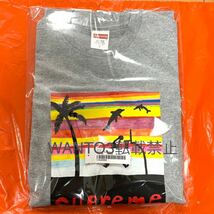 送料無料 Sサイズ グレー Supreme Dunk Tee 21SS シュプリーム ダンク Tシャツ Heather Grey box logo ボックスロゴ サマーT 新品 summer t_画像4