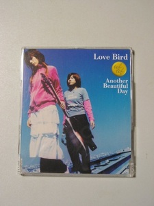 ☆ＣＤ☆tef tef　『Love Bird』