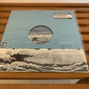 SYSTEM F REACHING YOUR SOUL Vinyl LP 12inch レコード Analog DJ Tiesto Ferry Corsten