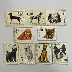 ポーランド 切手 スタンプ有り イヌ いぬ 犬 DOG