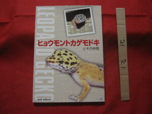 * leopard mon lizard mo when . that company Leopard Gecko and Others [ nature * living thing * animal * knowledge ]