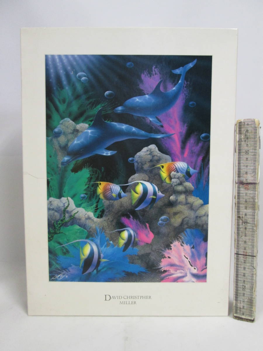 品数豊富! David Millerの海底のイルカの作品 絵画/タペストリ
