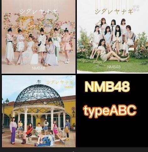 typeABC シダレヤナギ d NMB48 特典なし