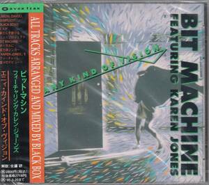 国 ビット・マシン Feat Karen Jones Any Kind Of Vision 未開封◆規格番号■AVCD-11105◆送料無料■即決●交渉有