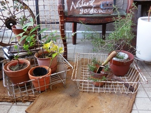 375.1*. become small space natural veranda garden * decorative plant .. put car Be iron basket 2 piece pot cover * gardening miscellaneous goods mail order 