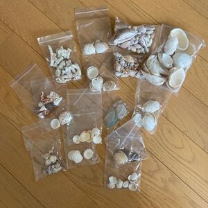 貝殻 シーグラス シーガラス 珊瑚 宝貝 タカラガイ シェル まとめ売り ハンドクラフト ハンドメイド 材料 資材