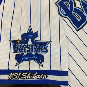 【メール便送料無料】横浜 DeNA ベイスターズ 刺繍ワッペン 柴田 #31 ナンバー/柴田竜拓/baystars/応援/刺繍/ユニホーム