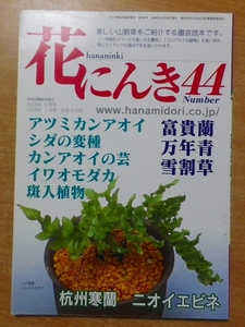 花にんき ナンバー44 シダ　流出版