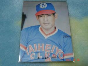  ultra rare district limitation version 73 year Calbee Pro year baseball card NO.263( basis | futoshi flat .) beautiful goods 