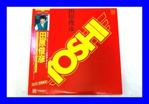 ○美品 LP レコード 田原俊彦 TOSHI 帯付 L1102