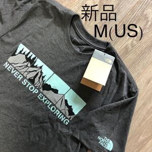 THE NORTH FACE 半袖Tシャツ グラフィックロゴ