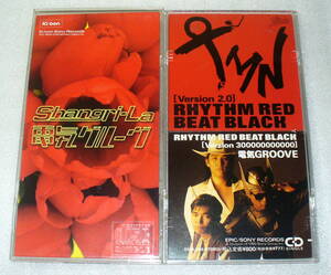 S2■電気グルーヴ2枚セット ①TMN VS 電気GROOVE RHYTHM RED BEAT BLACK VERSION 2.0 ②Shangri-La(シャングリラ)/ピエール瀧/石野卓球