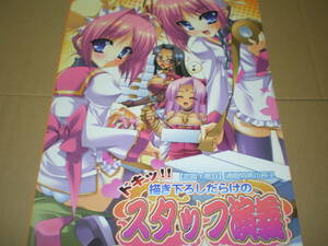 レア、希少品　恋姫　無双　通販特典少冊子　ドキッ！！描き下ろしだらけのスタッフ演義　