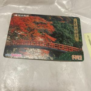  Surutto kansai. sudden electro- iron la girl card . surface . cheap temple. . leaf 