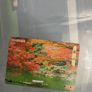 スルッとkansai阪急電鉄嵐山の紅葉京都