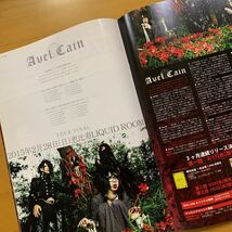 ZEALLINK 2014年 No.011 アンティック珈琲店 Royz Nemesis レイヴ DuelJewel Dear Loving AvelCain Glam Grammar dieS ジン TheValentine_画像7