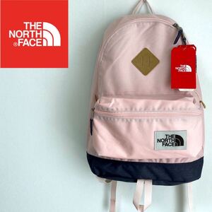 1点限り THE NORTH FACE ノースフェイス バックパック リュック 25L