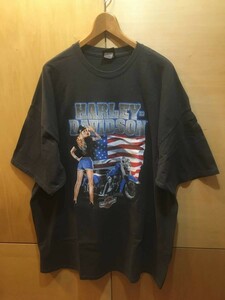 古着 Harley Davidson Tシャツ3XL ハーレーダビッドソン アメリカンフラッグ ビッグサイズ