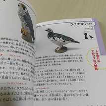 日本チョコエッグ動物大百科 木村義志 平凡社 中古 書籍_画像5