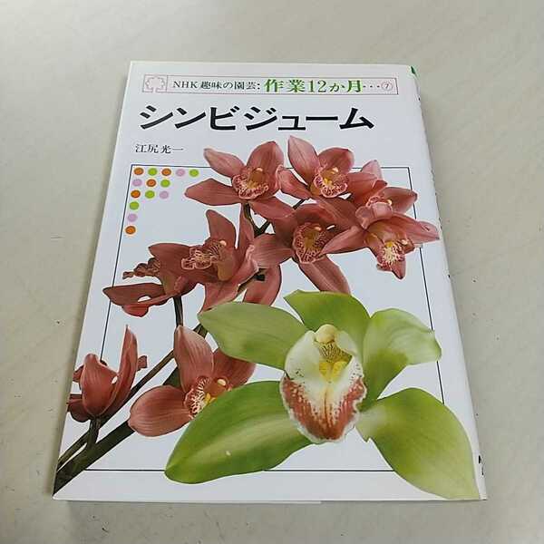 シンビジューム NHK 趣味の園芸 江尻光一 作業12か月⑦ NHK出版 中古 園芸 ガーデニング 植物 004