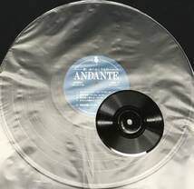 LP＋ソノシート付【ANDANTE 想い出のおくりもの】アンダンテ（検：自主制作盤フィメールフォークポップサイケ Japanese Private Press）_画像7