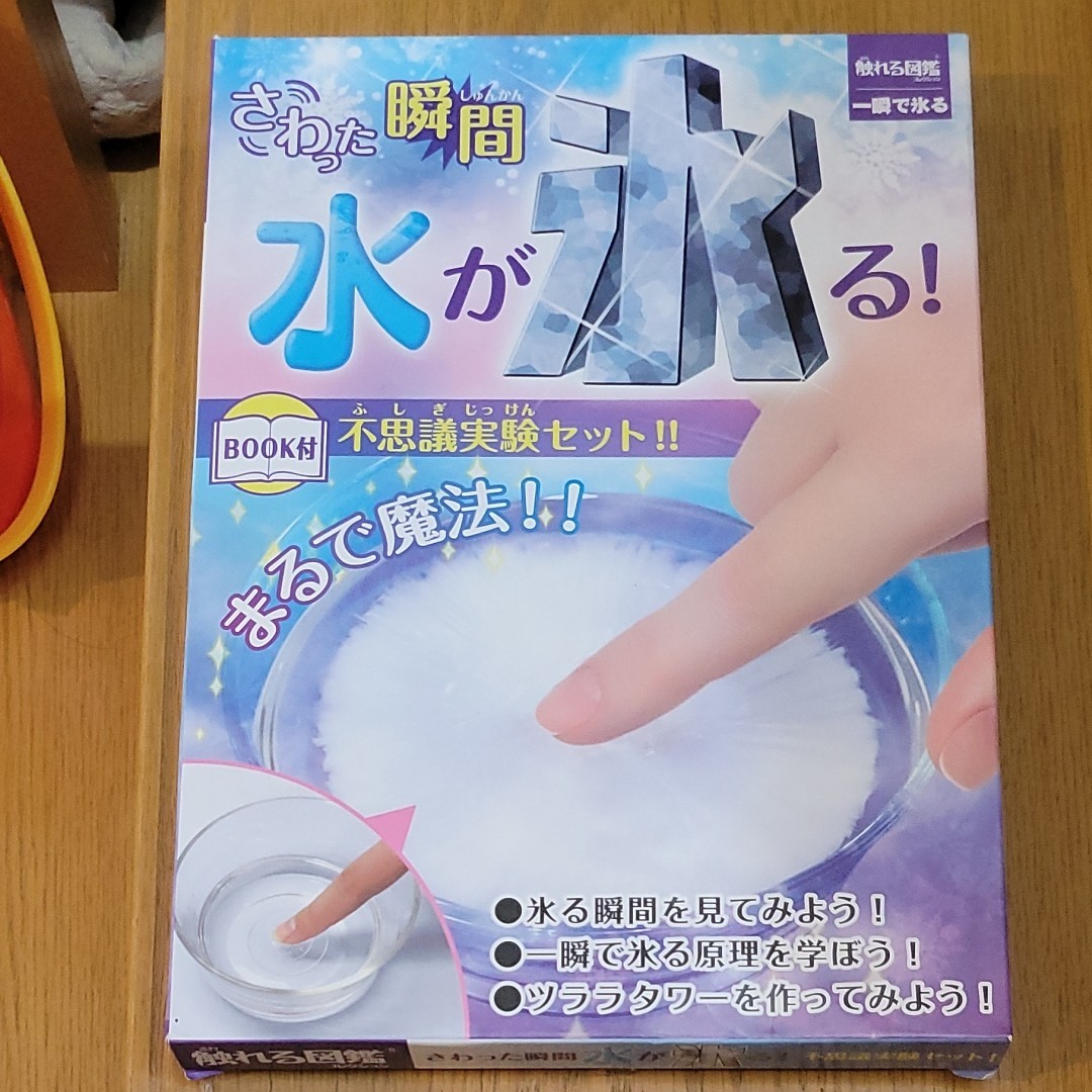 六分の一男子図鑑 B2010 ナイン 未使用 | www.sugarbun.com