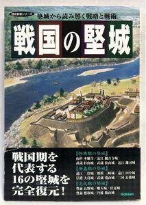 戦国の堅城　築城から読み解く戦略と戦術 