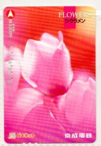 京成電鉄・パスネット・FLOWERS～シクラメン（使用済み）イオカード・オレンジカード・メトロカード