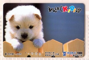 メトロカード・わんぱくKIDS 21・犬（使用済み）イオカード・オレンジカード・パスネット