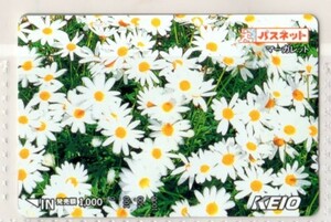 京王電鉄・パスネット・マーガレット・花（使用済み）イオカード・オレンジカード・メトロカード