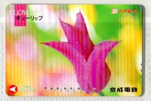 京成電鉄・パスネット・FLOWERS～チューリップ（使用済み）イオカード・オレンジカード・メトロカード