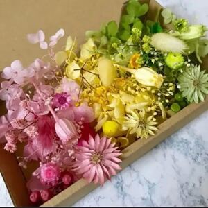 3色チーゼルフラワー*花材詰め合わせ