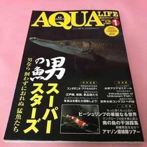 月刊アクアライフ 2003年1月No.282 スタンダダニオ・アクセルロディ ビーシュリンプ アリゲーター・ガー 水草水槽 AQUA LIFE