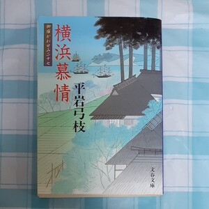 平岩弓枝 横浜慕情 辻堂魁