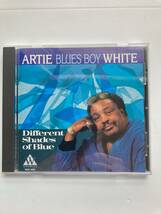 【ブルース】アーティ・ブルース・ボーイ・ホワイト(ARTIE BLUES BOY WHITE)「DIFFERENT SHADES OF BLUE」レア中古CD、USオリジ初盤,BL-999_画像1