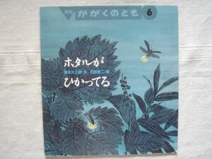 【月刊絵本】ホタルがひかってる かがくのとも 327号 1989年6月号 *折り込みふろく どうぶつタイムスあり/ 奥本大三郎 石部虎二 福音館