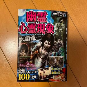 幽霊心霊現象大図鑑/イリサワマコト