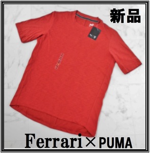 新品タグ付★送料無料 フェラーリ Tシャツ Mサイズ Ferrari ★丸首 レッドライン コットン 綿100％ Ｔシャツ えんじ色 部屋着パジャマOK