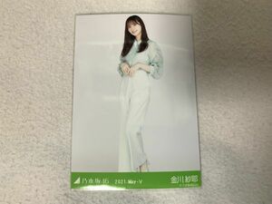 乃木坂46 2021.May-V マカロンカラー 生写真 金川紗耶 ヒキ