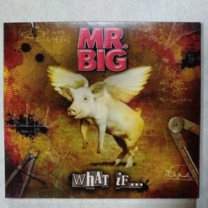 MR.BIG What If...