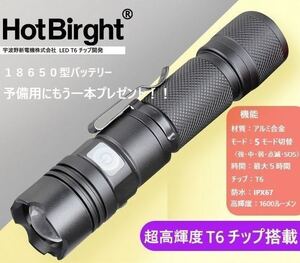 Hot Birght P50 Pro仕様ハンディライト CREE LED T6 チップ 超高輝度 1600ルーメン USB充電式 アルミ合金 防水 防災 自転車 停電対策 軽量