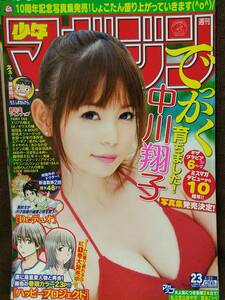 週刊少年マガジン 2012年No.23 グラビア切り抜き 中川翔子