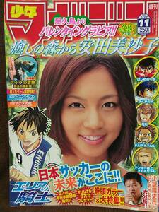 週刊少年マガジン 2008年No.11 グラビア切り抜き 安田美沙子