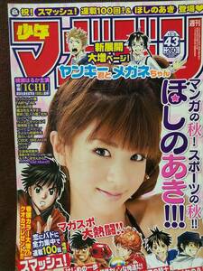 週刊少年マガジン 2008年No.43 グラビア切り抜き ほしのあき