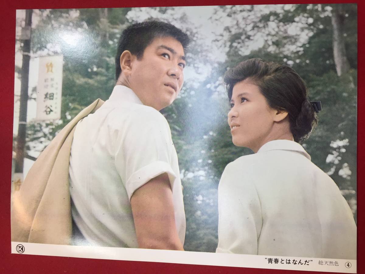 2023年最新】Yahoo!オークション -青春とはなんだの中古品・新品・未