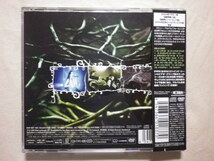 DVD付2枚組 『Evanescence/Anywhere But Home(2004)』(2004年発売,EICP-454/5,国内盤帯付,歌詞対訳付,ライブ・アルバム)_画像2