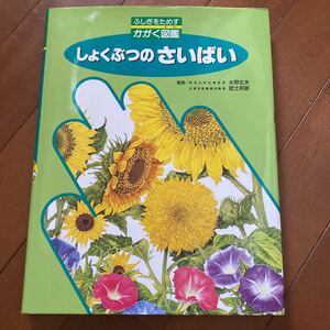 しょくぶつのさいばい ふしぎをためすかがく図鑑/フレーベル館
