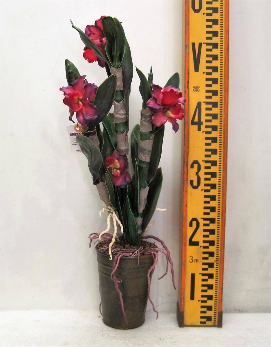 Arrangement Cattleya avec vase (traitement photocatalyseur) 2 ◆ Fleurs artificielles ◆ Référence d'image ★, Artisanat, Artisanat, Fleur artistique, Fleurs pressées, Produit fini