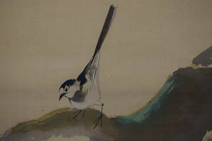 Art hand Auction Author unknown/Takino and wagtail drawing/Autumn leaves small bird drawing/Hanging scroll☆Treasure ship☆Y-90 JM, painting, Japanese painting, flowers and birds, birds and beasts